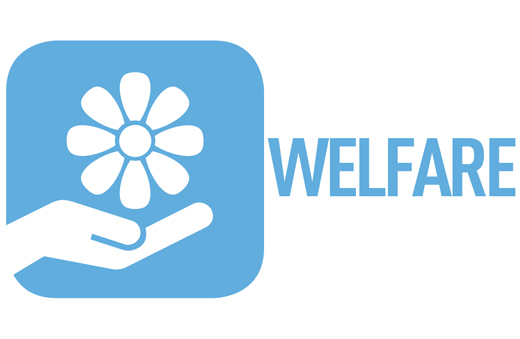 Welfare 12.5.17