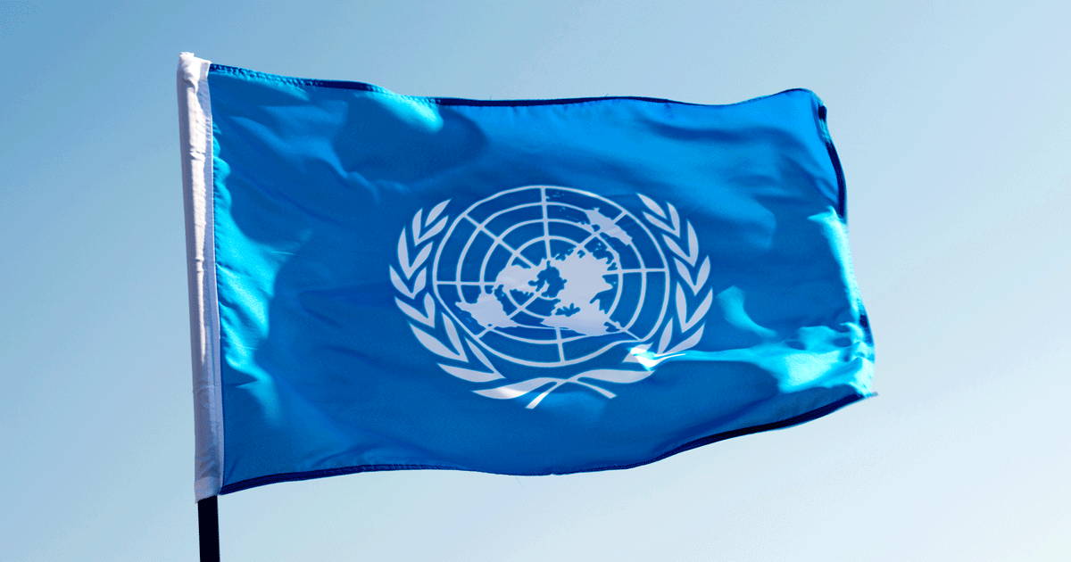 Bandiera ONU